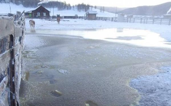 В селе Бурятии надледные воды подтопили два участка