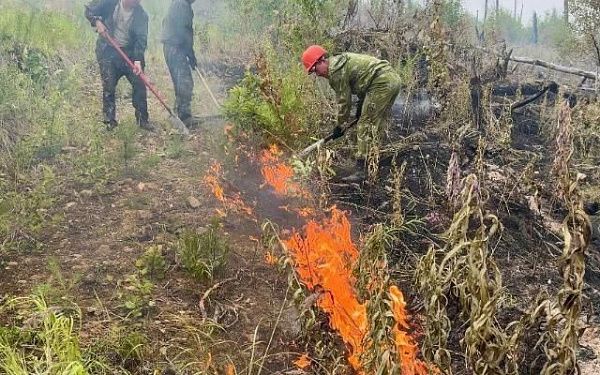 В Бурятии действуют 14 лесных пожаров