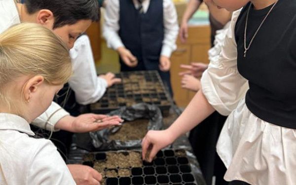 Лесники Бурятии провели мастер-класс по посадке семян сосны для школьников