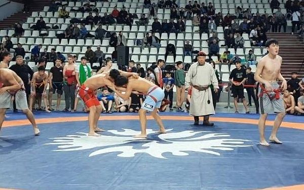В Улан-Удэ пройдёт турнир по национальной борьбе "бухэ барилдаан"