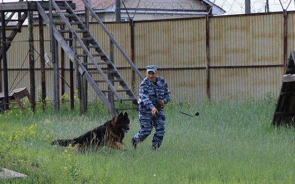 В Бурятии проверили условия содержания служебных собак