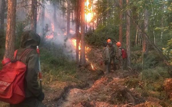 Более трехсот человек сражаются с огнем в лесах Бурятии
