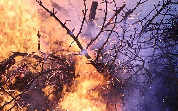 В Бурятии ликвидировали 6 лесных пожаров