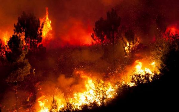 В Бурятии увеличилась площадь бушующих пожаров