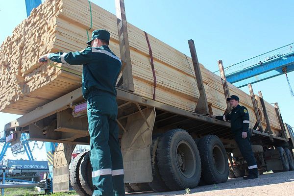 За полгода из Бурятии незаконно экспортировали лесоматериалы на 103 млн рублей