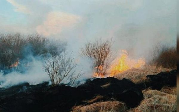  В Бурятии тушат три лесных пожара