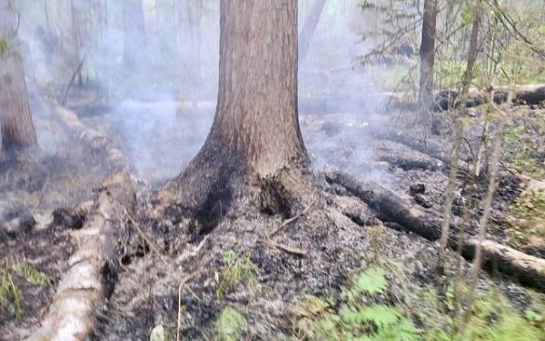 Из-за аномальной жары в лесах Бурятии вспыхивают пожары