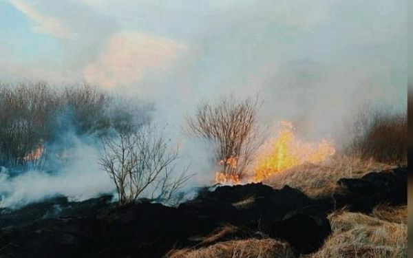 В Бурятии лесная охрана оперативно ликвидировала пожар в лесу