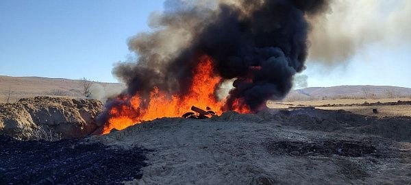 В Джидинском районе Бурятии сожгли туши КРС