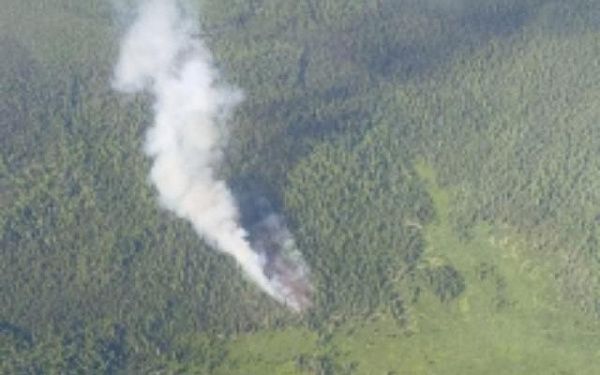 За последние сутки в лесах Бурятии вспыхнули четыре пожара