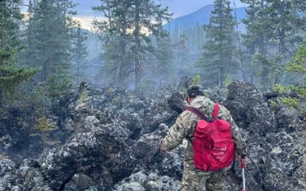 За прошедшие сутки в Бурятии возникли два лесных пожара