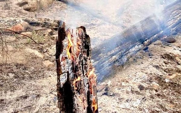 За сутки в Бурятии возникли три лесных пожара