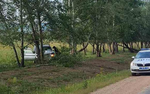 В Бурятии мужчина на внедорожнике врезался в дерево и погиб на месте