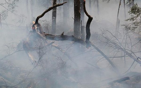 Дымка в Бурятии связана с лесными пожарами в соседних регионах