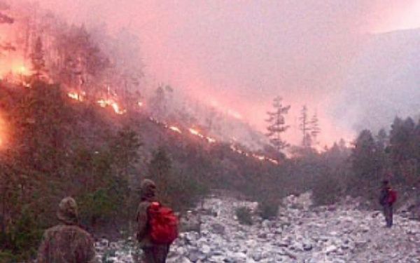 В Бурятии большинство лесных пожаров ликвидированы