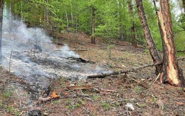 В Бурятии от сухой грозы возобновился лесной пожар 