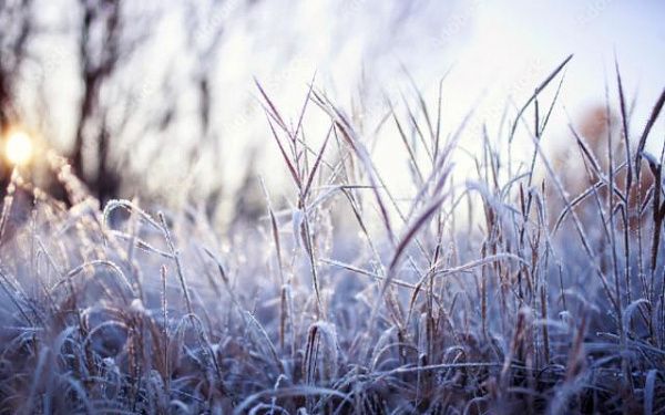 В Бурятии ожидаются заморозки по центральным и южным районам республики