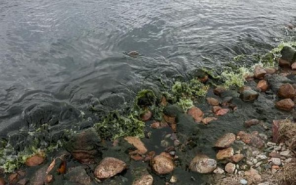 В Бурятии воду из Селенги признали небезопасной