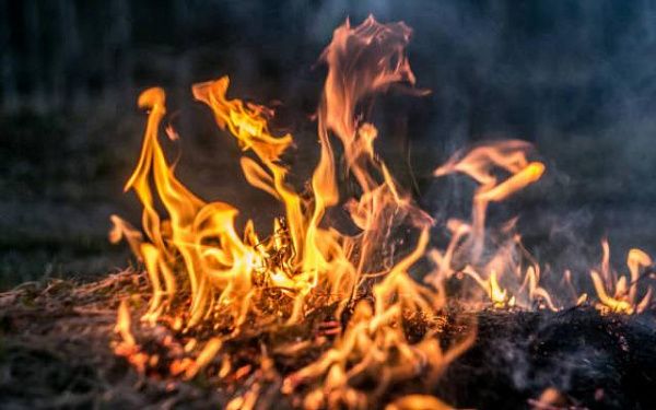 260 лесных пожаров произошло за прошлый год в Бурятии