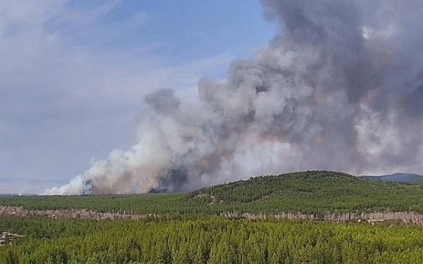 На севере Бурятии лесной пожар охватил уже 950 гектаров