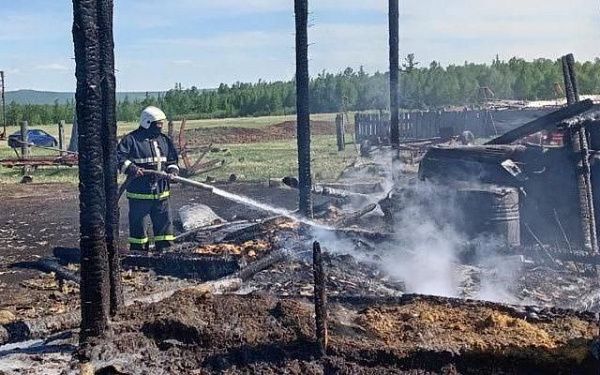 Огонь уничтожил гараж, ЗИЛ-131 и прицеп на животноводческой стоянке в Бурятии