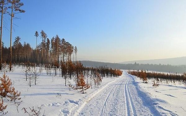 Метеорологический прогноз на 24 февраля