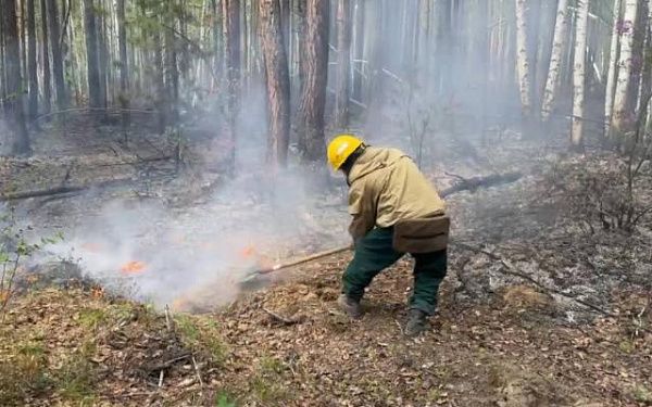 В Бурятии действует четыре лесных пожара 