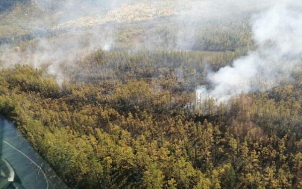 В Бурятии локализовали лесной пожар