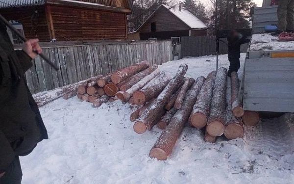 Житель Бурятии "наломал дров" на миллионы