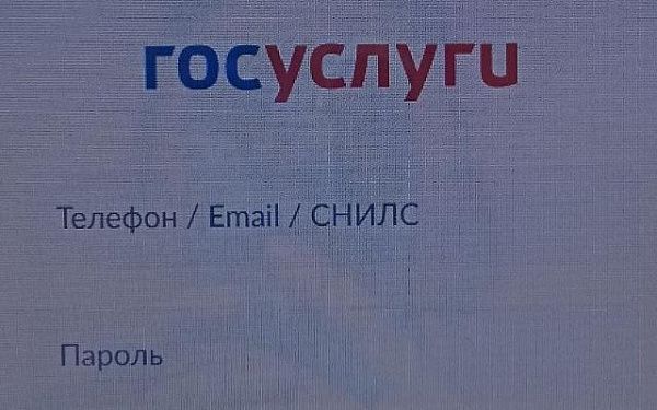 16 взломов аккаунтов на портале госуслуг за сутки зарегистрировано в Бурятии 