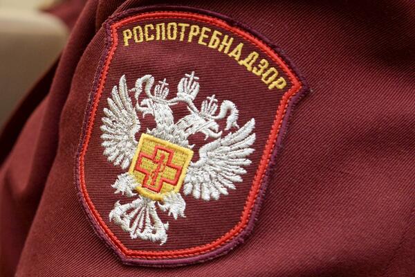 Вспышку норовирусной инфекции зафиксировали в Ново-Онохойской школе