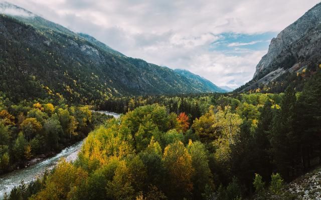 Верх Слюдянский лес