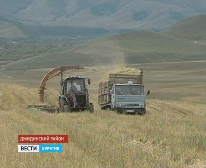 Погода в джидинском районе бурятия. Мясокомбинат Петропавловка Джидинский район. Сельское хозяйство Джидинский район. Село Белоозерск Джидинский район. Экономика Джидинского района Республики Бурятия.