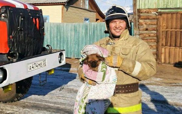 В Бурятии пожарные из-под завалов спасли маленькую собачку Микки