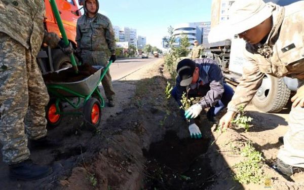 В Улан-Удэ стартовала осенняя кампания по озеленению