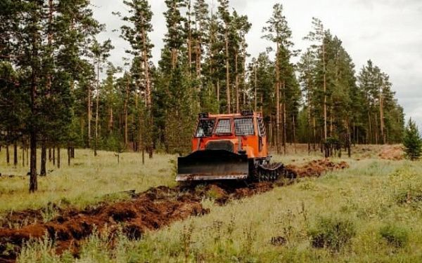 В Бурятии выделено более 800 млн рублей на охрану лесов от пожаров