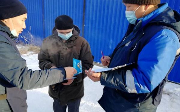 В Улан-Удэ снижается количество обращений горожан по бездомным собакам