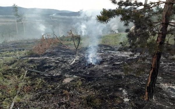 В Бурятии ликвидировали 4 лесных пожара