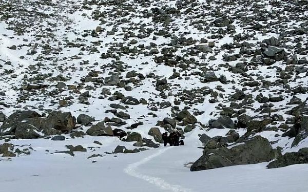 При сходе снежной лавины в Бурятии пострадал турист