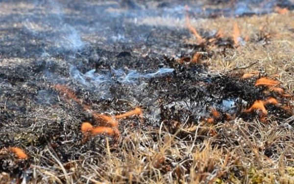 Безответственность жителя Бурятии обернулась лесным пожаром 