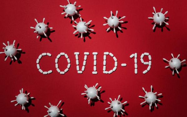 На 8:00 часов 19 ноября зарегистрировано 67204 (+247) больных COVID-19