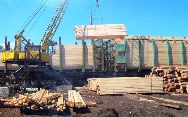 Контрабанду лесоматериалов почти на 2 млн рублей выявили бурятские таможенники