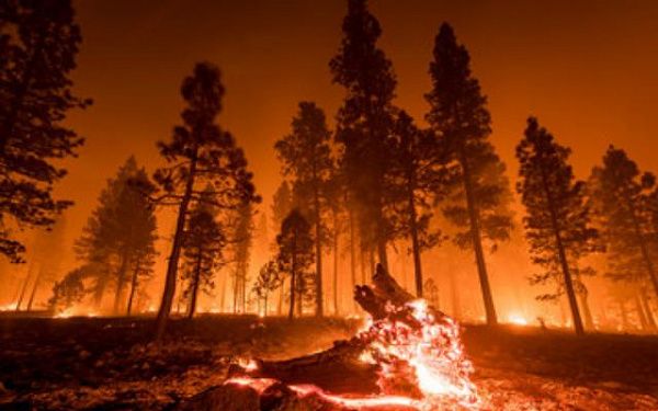 В Бурятии в три раза увеличилось количество пожаров