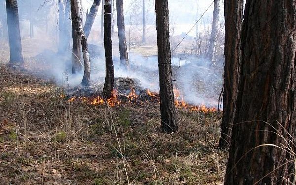 В Бурятии тушат лесной пожар