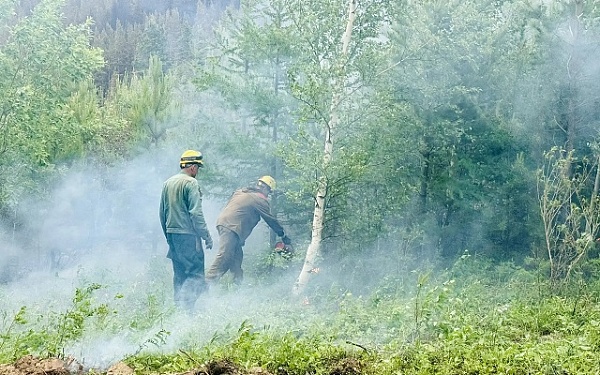 На севере Бурятии тушат грозовой пожар