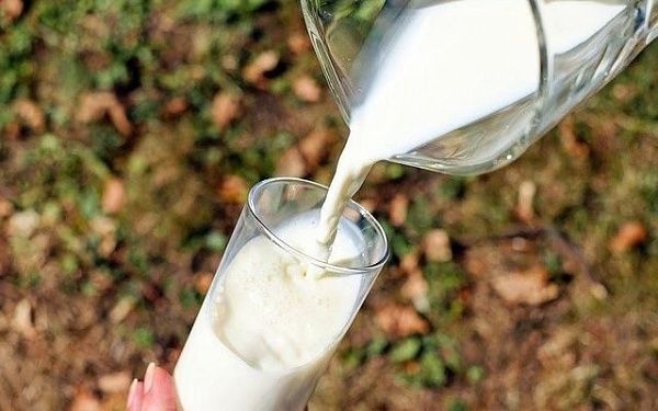 За последние 11 лет объемы производства молока в республике сократились более чем вдвое