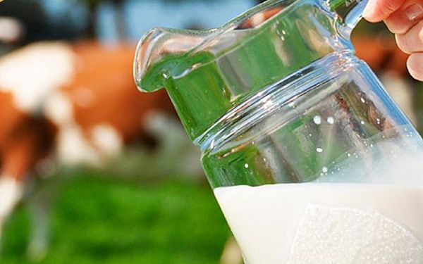 В Бурятии производители молочной продукции могут рассчитывать на субсидию