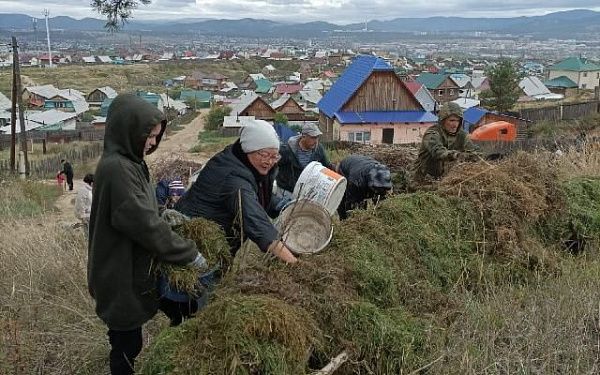 Волонтеры в Улан-Удэ готовились к посадке саженцев