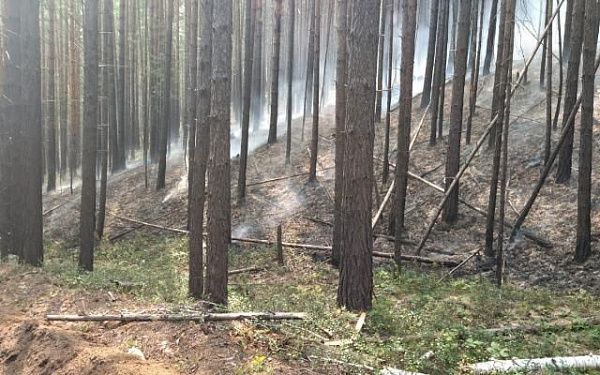 В Бурятии сохраняется стабильная лесопожарная обстановка