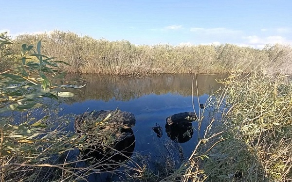 За минувшие выходные на дорогах республики инспекторами ДПС выявлено 770 нарушений ПДД